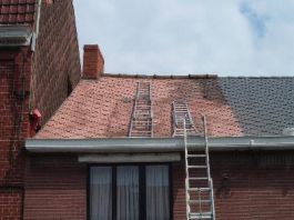 Application d‘un traitement anti-mousse avant peinture